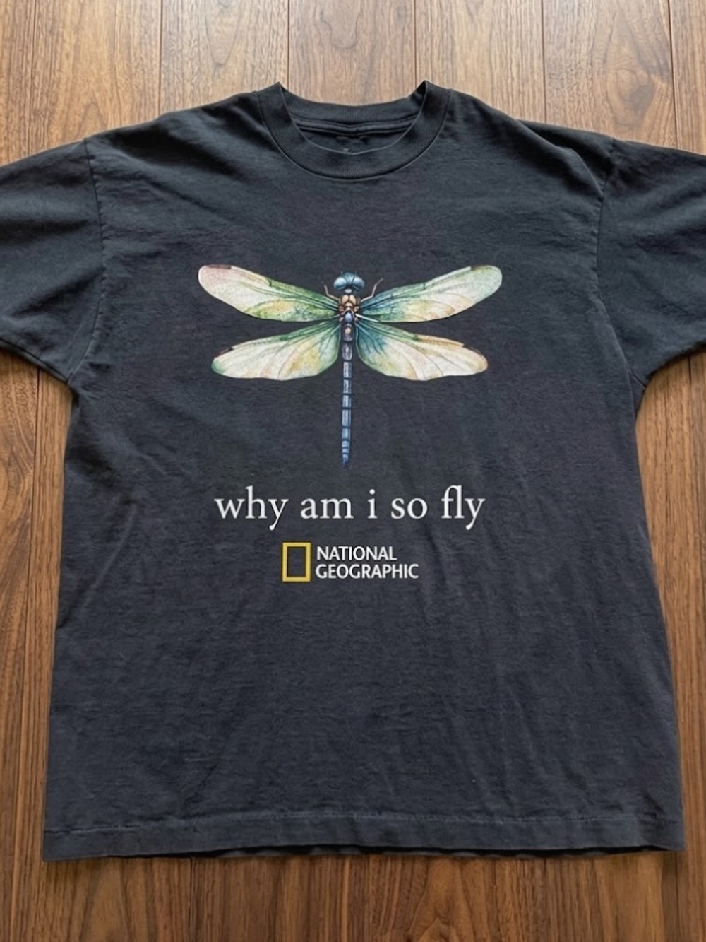 National Geographic Black Tee with Iridescent Dragonfly Graphic